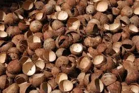 Coconut Shell
